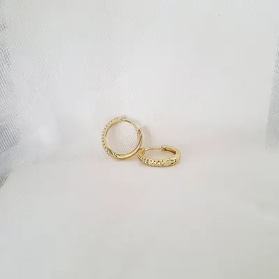 ARO402 CIRBG