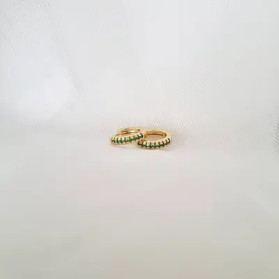 ARO402 CIRVP